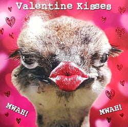 General Valentines Day Card