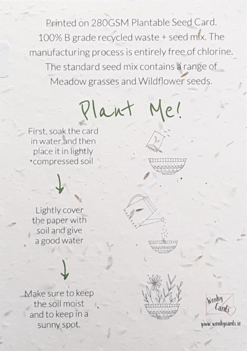 Congratulations Card - Plantable Seed 