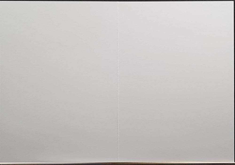 funny christmas card