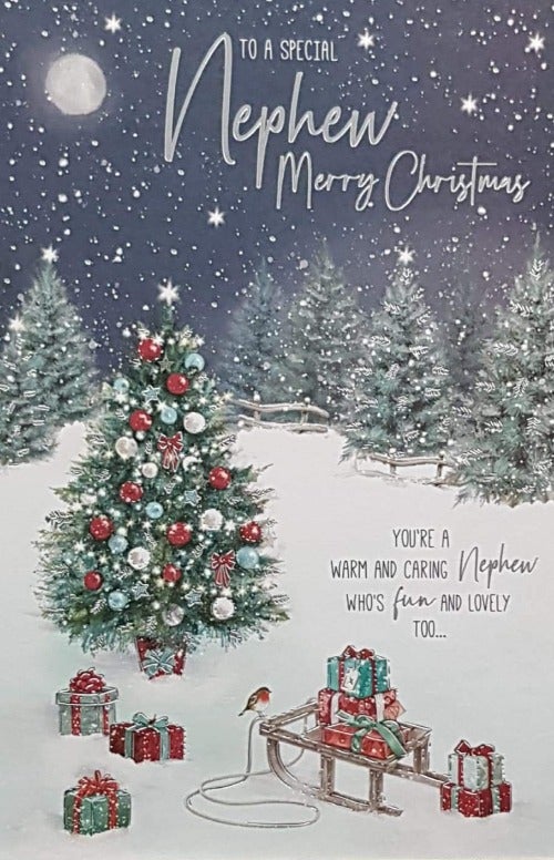 nephew christmas card