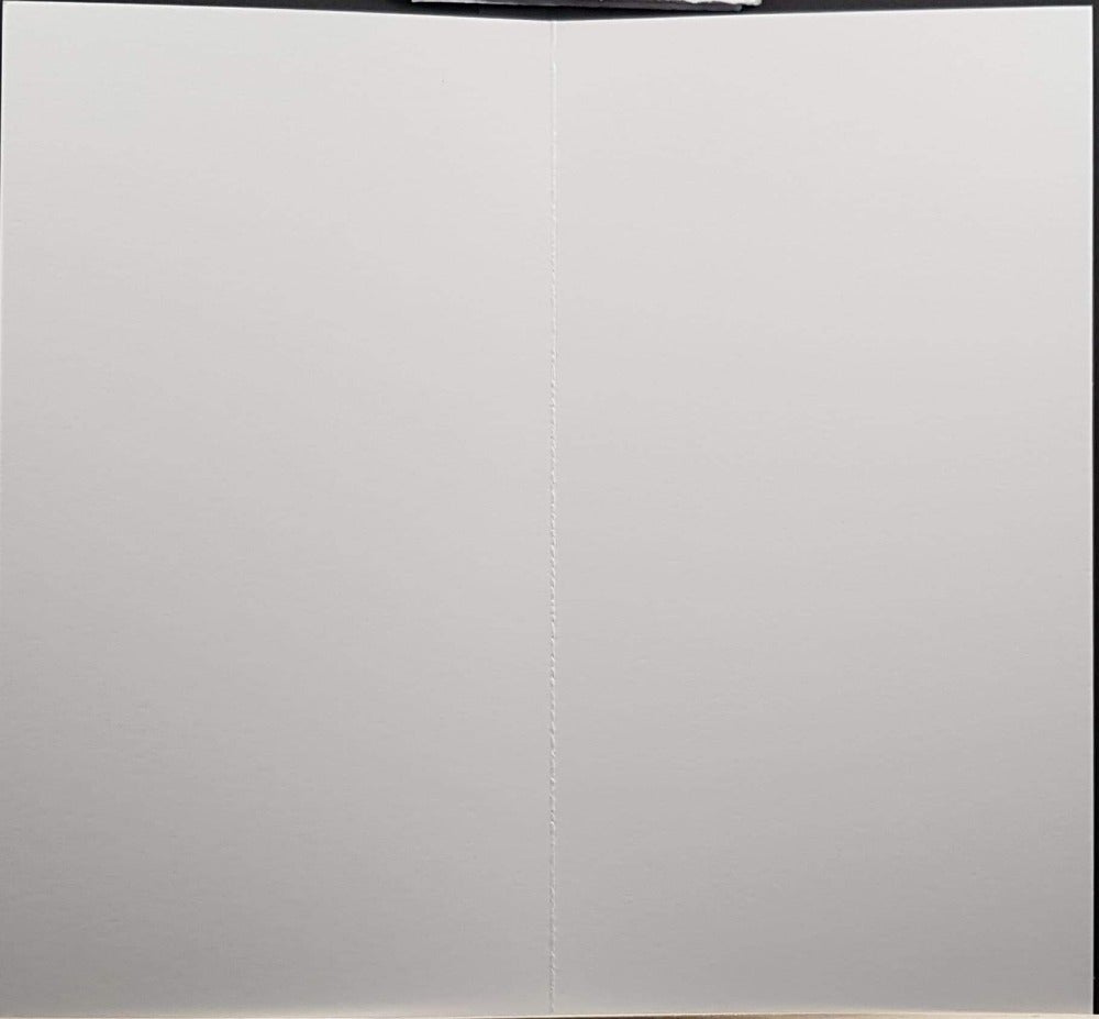 funny christmas card