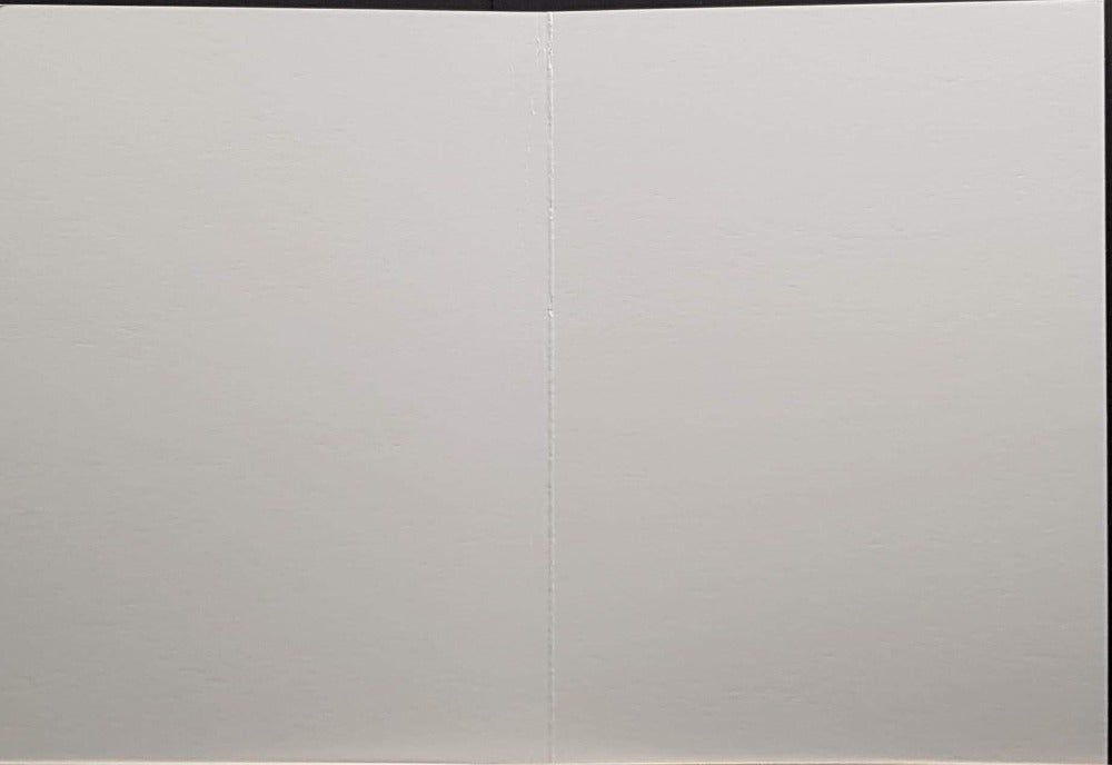 funny christmas card