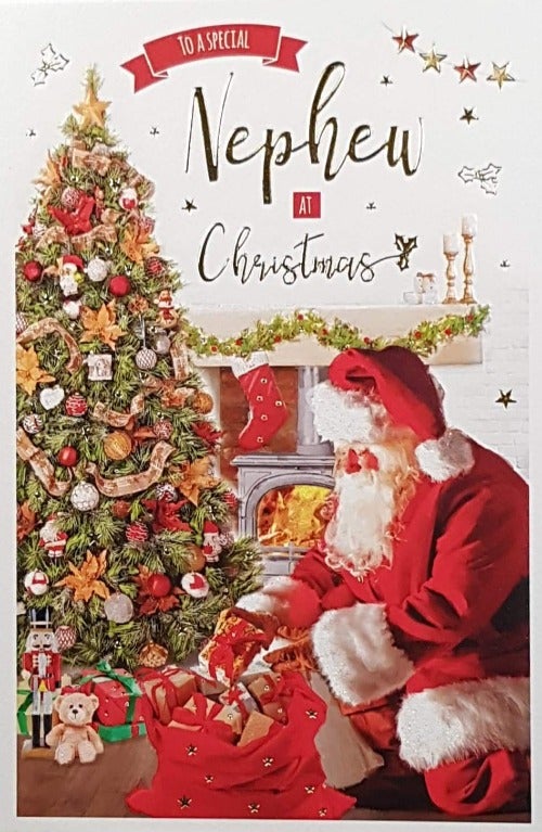 nephew christmas card