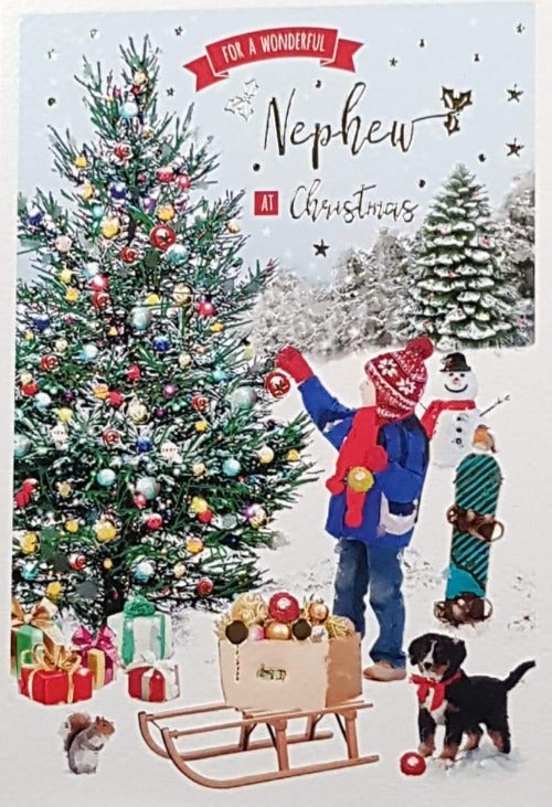 nephew christmas card