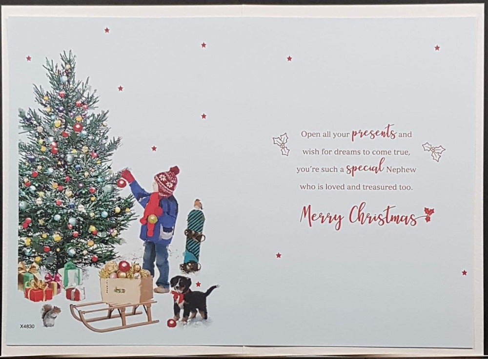 nephew christmas card
