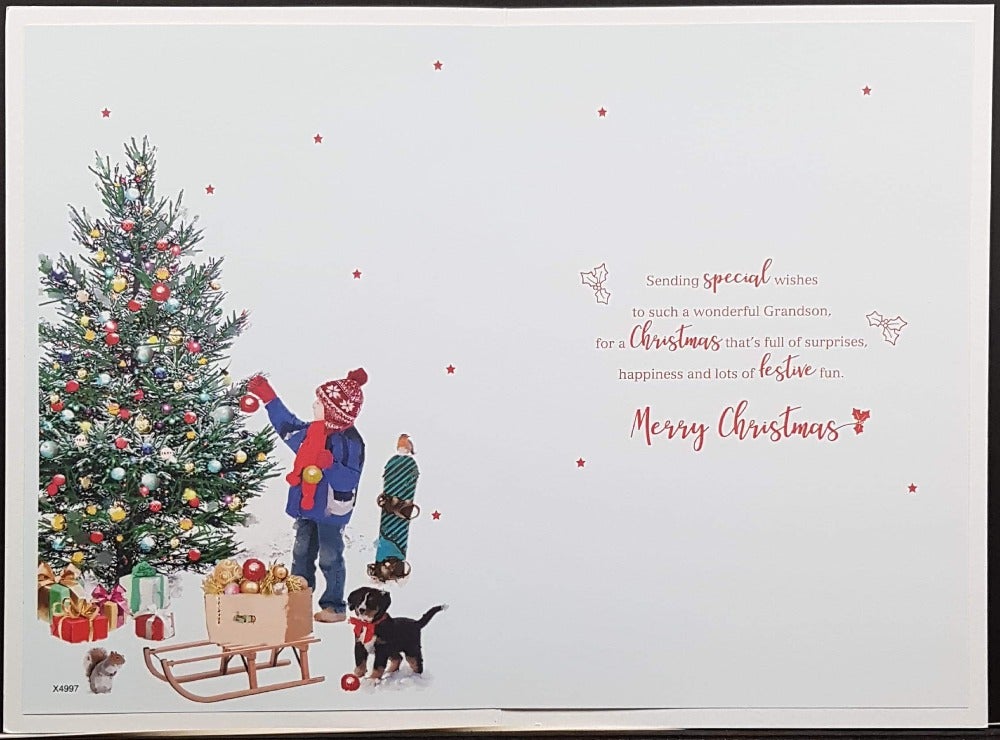 grandson christmas card