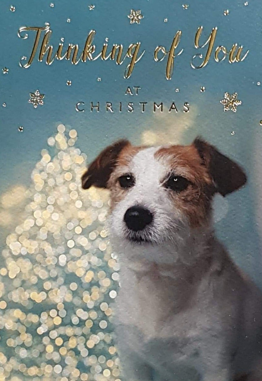 Thinking Of You Christmas Card