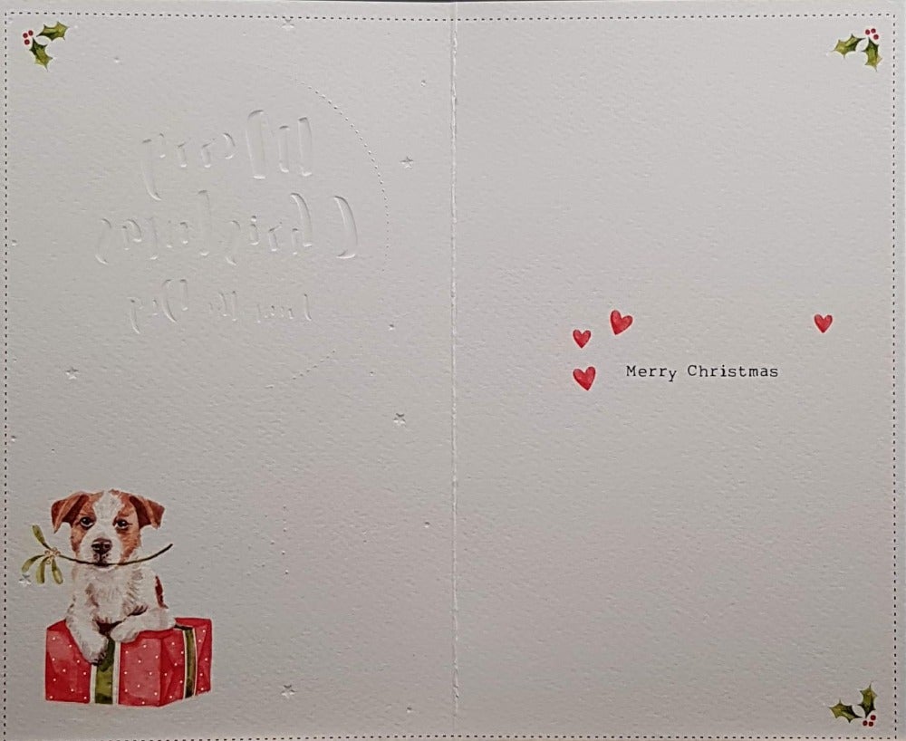 From The Dog Christmas Card