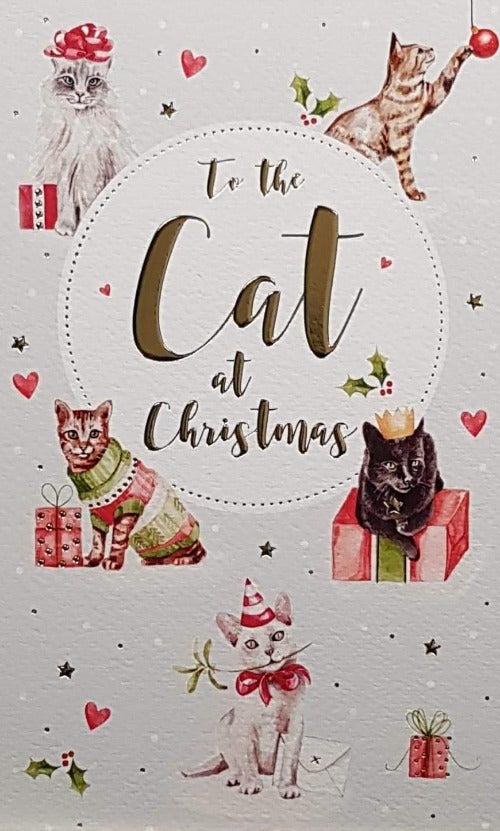 Cat Christmas Card