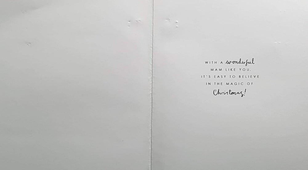 Mam Christmas Card - Happy Penguin Family Riding A Polar Bear In The Frosty Forest