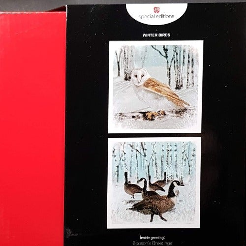 Charity Christmas Cards - Box / Children's Health Foundation - Owl In The Frosty Forest