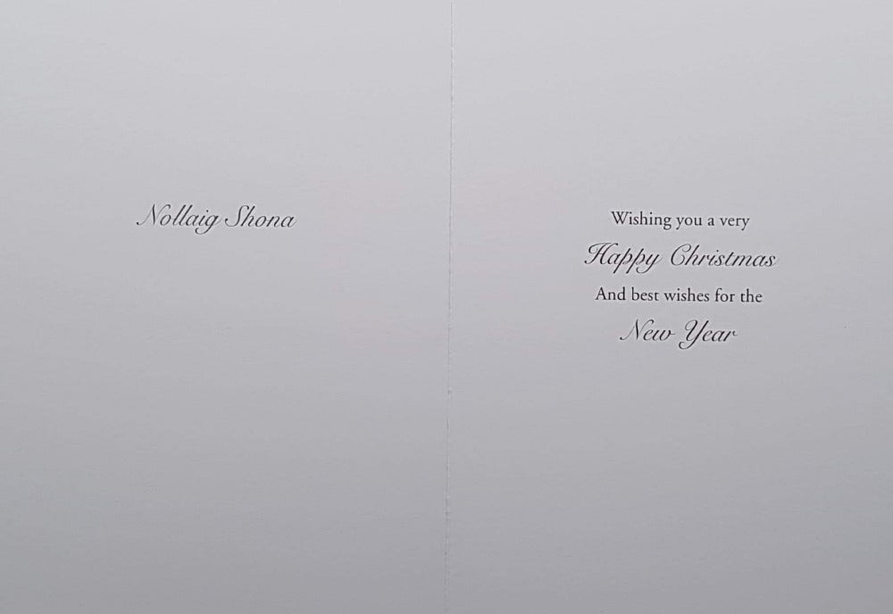 Across The Miles Christmas Card - Christmas Greetings From Dublin & Robin Sitting On Frosty BranchAbove The Letter Box