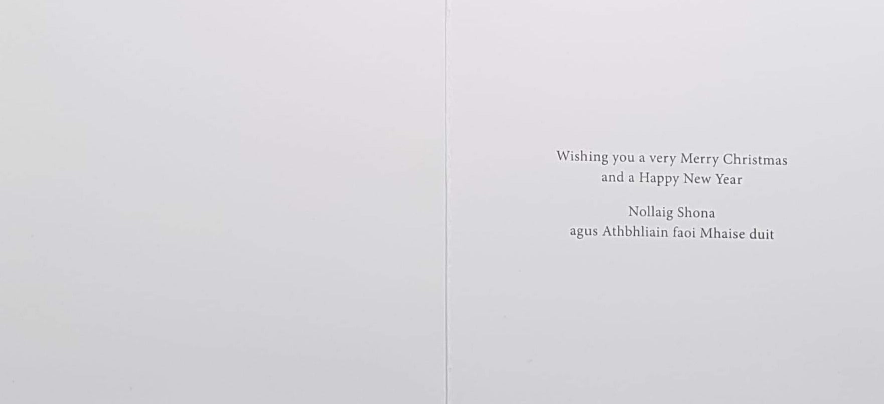 Charity Christmas Card (In Irish & English) - Small Cello / The Irish Hospice Foundation & Dog In The Festive Leaving Room