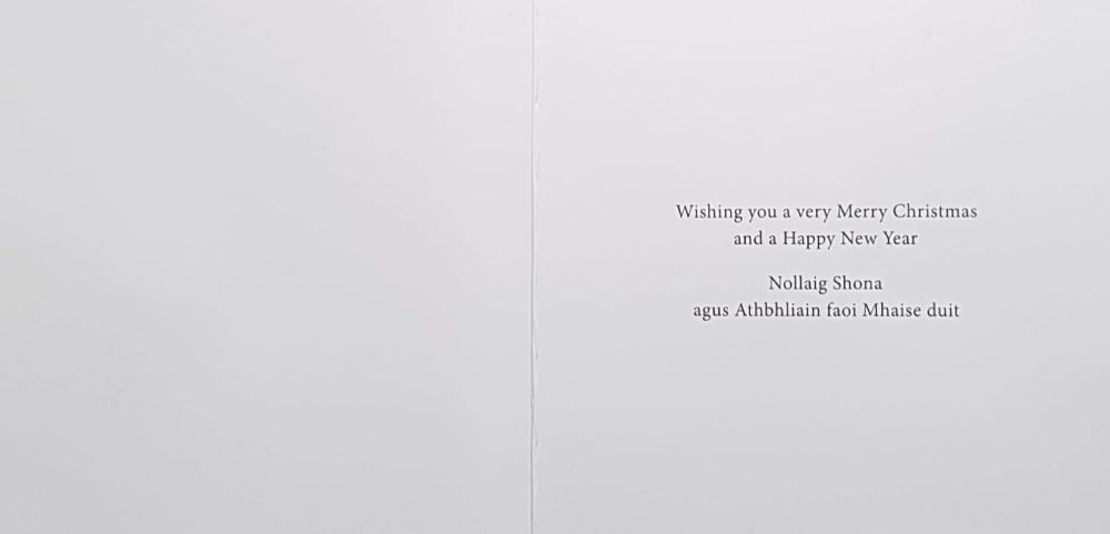 Charity Christmas Card (In Irish & English) - Small Cello / The Irish Hospice Foundation & Children Playing On Sledges