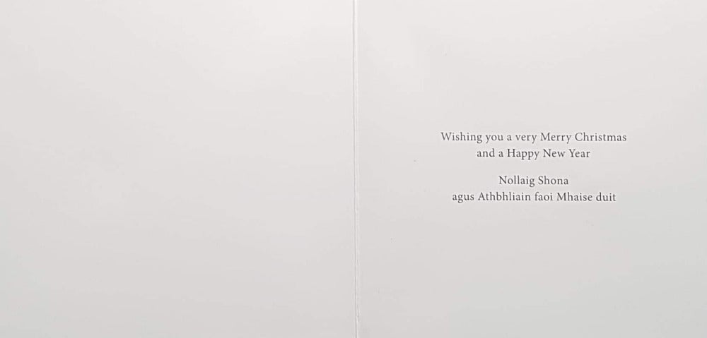 Charity Christmas Card (In Irish & English) - Small Cello / The Irish Hospice Foundation & Animals & St Family