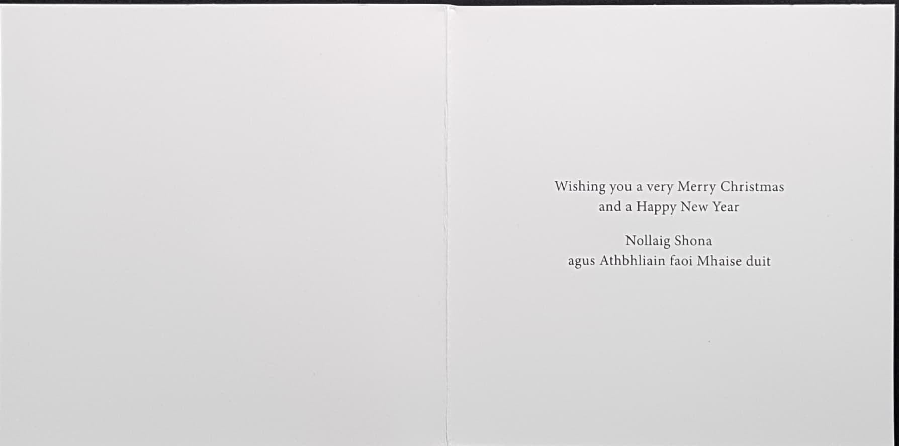 Charity Christmas Card (In Irish & English) - Small Cello / The Irish Hospice Foundation & Dove Above The City