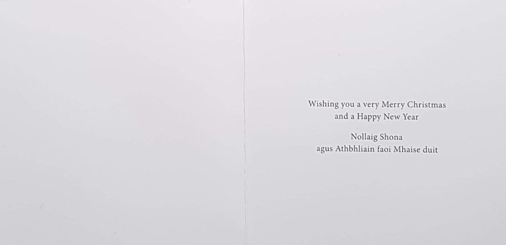 Charity Christmas Card (In Irish & English) - Small Cello / The Irish Hospice Foundation & St Marry & St Joseph Carrying Of Baby Jesus