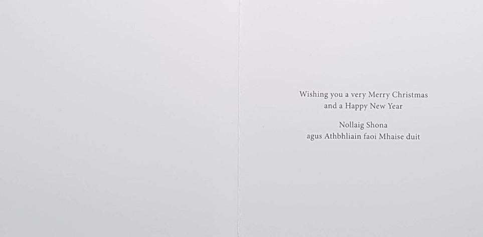 Charity Christmas Card (In Irish & English) - Small Cello / The Irish Hospice Foundation & Baby Jesus & Animals