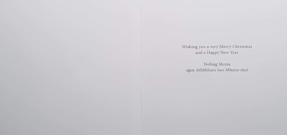 Charity Christmas Card (In Irish & English) - Cello / The Irish Hospice Foundation & Friendship Between Dog & Robin