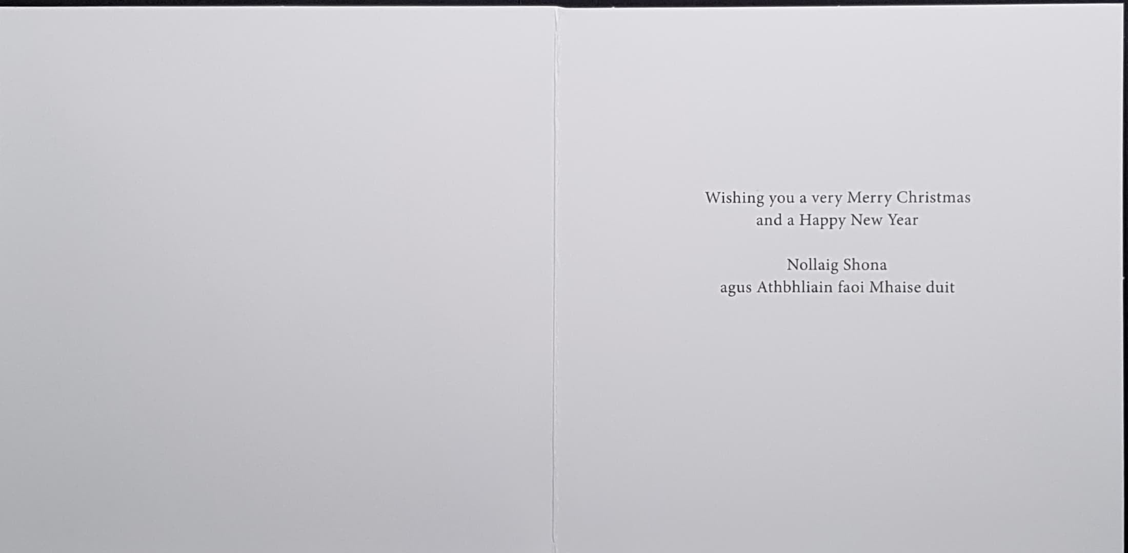 Charity Christmas Card (In Irish & English) - Cello / The Irish Hospice Foundation & Animals & Frosty Forest