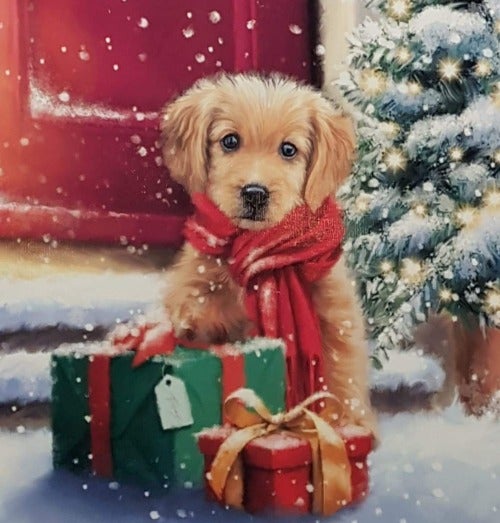 Charity Christmas Card