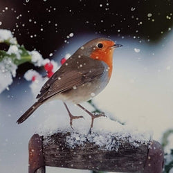 Charity Christmas Card