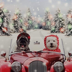 Charity Christmas Card