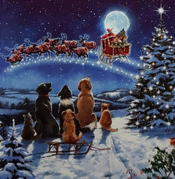 Charity Christmas Card