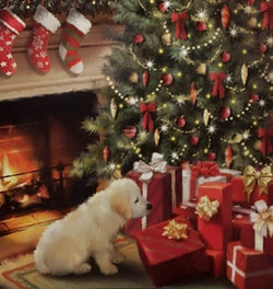 Charity Christmas Card