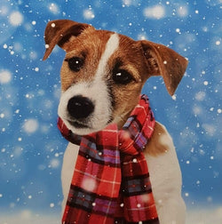 Charity Christmas Card