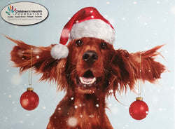 Charity Christmas Card (In Irish & English) - Box / Red Setter Dog with Baubles