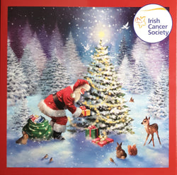 Charity Christmas Card (In Irish & English) - Box of 12 / Irish Cancer Society ICS - Santa & Gifts in Snow