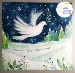Charity Christmas Card (In Irish & English) - Box / Irish Cancer Society ICS & Bird