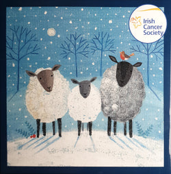 Charity Christmas Card (In Irish & English) - Box of 12 / Irish Cancer Society ICS - Sheep in Snow