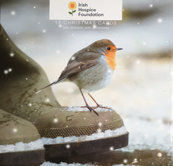 Charity Christmas Card (In Irish & English) - Box / Irish Hospice Foundation IHF - Robin Standing on Boot