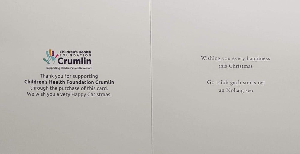 Charity Christmas Card (In Irish & English) - Cello Small / Children's Health Foundation & Poppy Looking At The Gifts Under Christmas Tree