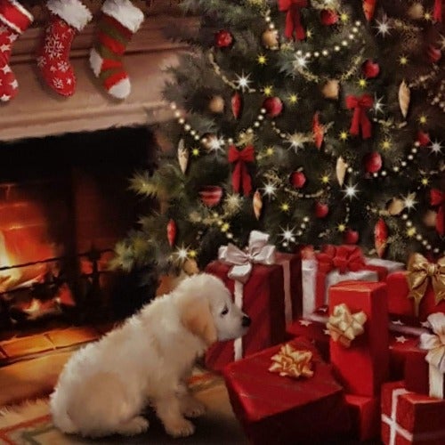 Charity Christmas Card (In Irish & English) - Cello Small / Children's Health Foundation & Poppy Looking At The Gifts Under Christmas Tree