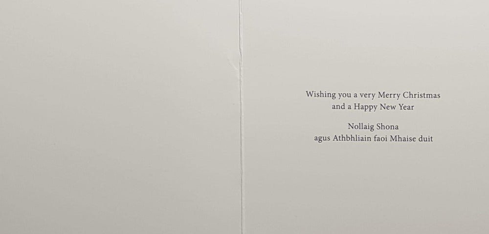 Season's Greetings Charity Christmas Card (In Irish & English) - Cello Small / The Irish Hospice Foundation & Christmas Tree In Red Pot