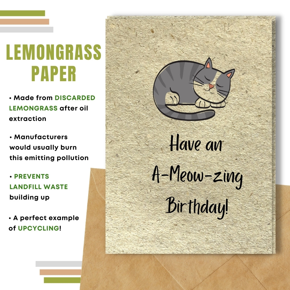 Funny Birthday Card - A Meow Zing Birthday