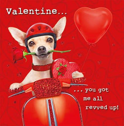 General Valentines Day Card