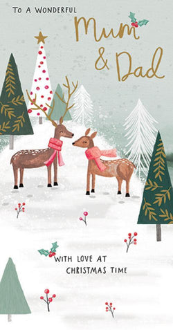 Mum And Dad Christmas Card