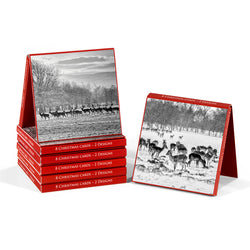 Charity Christmas Card - Box (In English & Irish) / Alone - Deer in the Snow