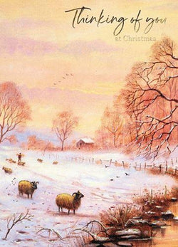 Thinking Of You Christmas Card - Sheep In Win