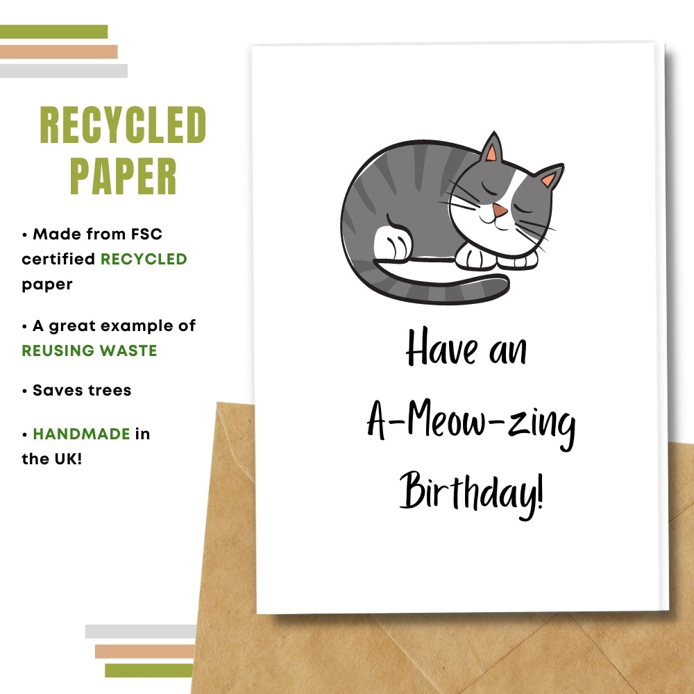 Funny Birthday Card - A Meow Zing Birthday