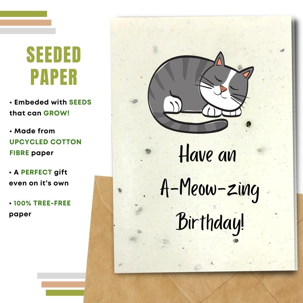 Funny Birthday Card - A Meow Zing Birthday