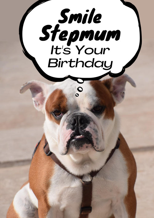 Stepmum Birthday Card Personalisation