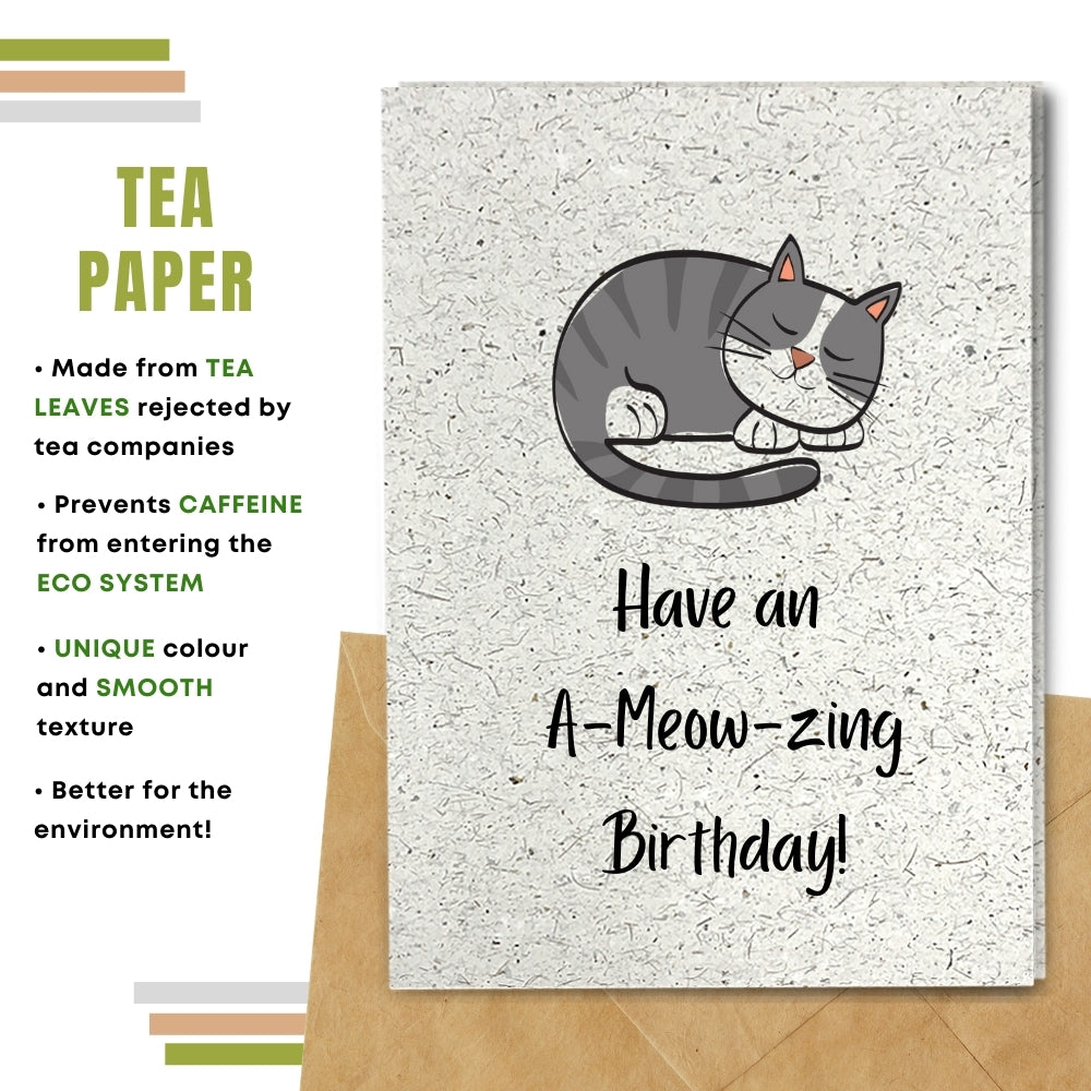 Funny Birthday Card - A Meow Zing Birthday