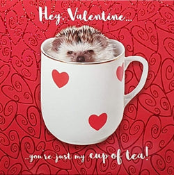 General Valentines Day Card