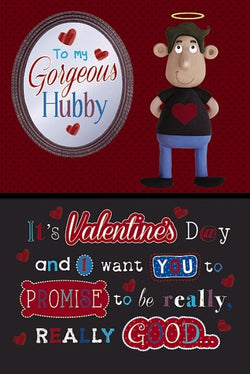 Husband Valentines Day Card