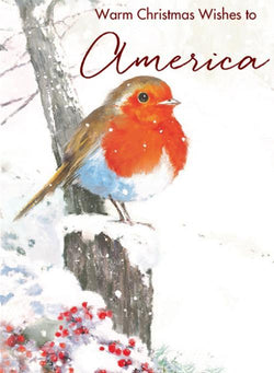 Across The Miles Christmas Card